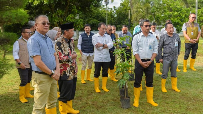 1765818351451-bank-sumsel-babel-menerapkan-program-1-tree-1-employee-1765796288112_169