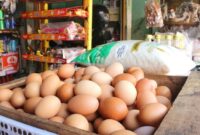 1765839863571-telur-ayam_169