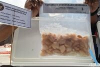 1765861543184-pemprov-sumsel-dan-balai-karantina-sumsel-bangun-sistem-digital-ketelusuran-komoditas-ekspor-1765813485910_169