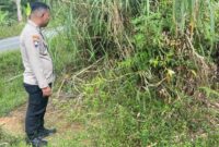 1765883136163-bayi-laki-laki-ditemukan-di-pinggir-jalan-kerinci-jambi-1765862595862_169