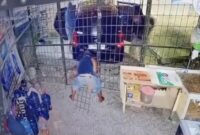 1767006351763-rekaman-cctv-yang-memperlihatkan-empat-pelaku-membobol-toko-sembako-di-palembang-1766993458166_169