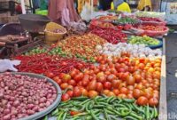 1767200742899-ilustrasi-tomat-hingga-cabai-rawit-menjadi-salah-satu-penyumbang-inflasi-pada-juni-2025-foto-nathea-citradetikbali-1751375344833_169