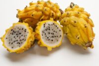 1767287114011-ce511810-dcb0-4cbd-a1f6-b96faea842c4_169