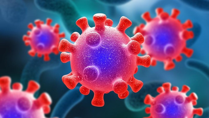 1767567910480-ilustrasi-virus_169