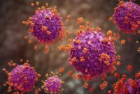 1767827109111-ilustrasi-virus-influenza-1764130986484_169