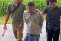 1768021548390-cs-ditangkap-karena-cabuli-putri-tirinya-di-pringsewu-lampung-1767944943700_169