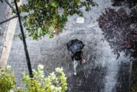 1768086278466-ilustrasi-hujan-1762235553812_169