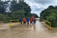 1768129524389-akses-jalan-warga-di-desa-gemawang-muara-enim-tertutup-banjir-1768117635139_169