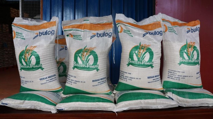1768129526815-bulog-siap-salurkan-bansos-beras-ke-1827-juta-penerima-1752291822028_169