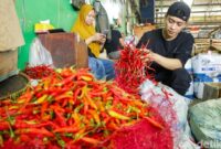 1769079952621-cabai-merah-asal-aceh-diperdagangkan-di-pasar-induk-kramat-jati-hal-ini-sebagai-bagian-dari-upaya-menjaga-perputaran-ekonomi-p-1766557524141_169