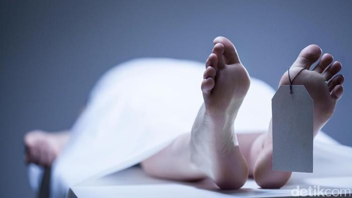 1769079956661-penemuan-mayat-wanita-duduk-di-melaya_169