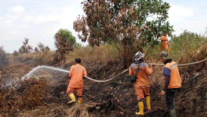 1769252745289-karhutla-di-sumsel_169