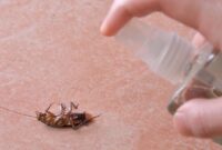 1769382303802-ilustrasi-kecoa-1762833545598_169