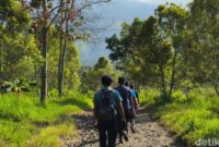 1769382333075-suasana-jalur-hiking-dan-pemandangan-bukit-lambosir-kuningan-1754627898531_169