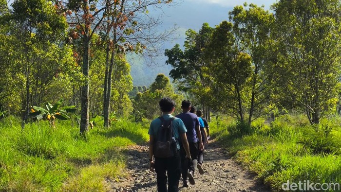 1769382333075-suasana-jalur-hiking-dan-pemandangan-bukit-lambosir-kuningan-1754627898531_169