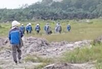 1769511977031-video-belasan-tka-yang-dinarasikan-kabur-ke-hutan-menghindari-razia-viral-di-media-sosial-1769493492865_169