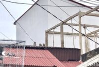 1769533576821-kawanan-monyet-liar-masuk-permukiman-warga-di-palembang-1769483204786_169